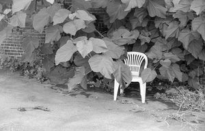 This one belongs to us now.