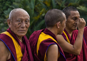 Buddha Buddha Buddha