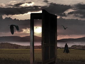 She left the Door open