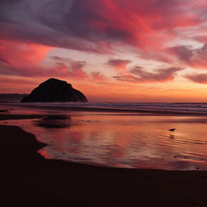PhotoMorroBay.com Social Network 1024x1024 TheAppBuilder by JamPot Technologies  icon photomorrobay.com Morro Rock at sunset on Morro Strand State Beach, Morro Bay, CA