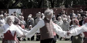 Sveriges nationaldag 2009 i Linköping