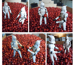 The Clones playing with lingonberries (Berättelse lingon)