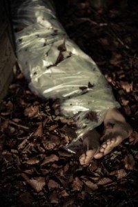 Image by Jan H. Andersen