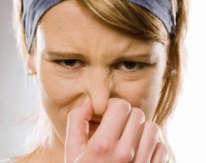 Sd:s lögner stinker!