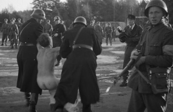 Myt: flyktingar som kastar mat