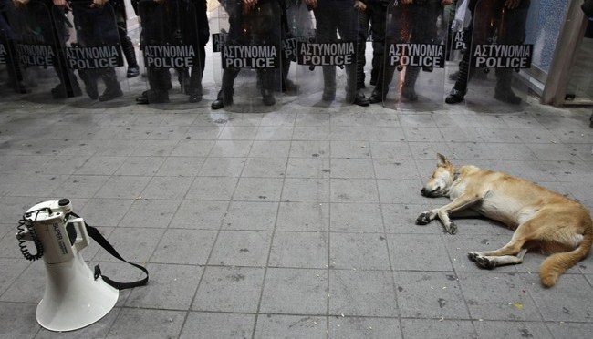 Bilden med ”riot dog” är inte från Sverige