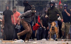 screenshot-www-telegraph-co-uk-2016-05-19-12-40-35