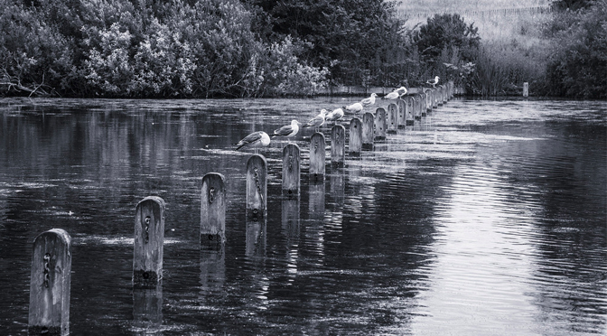 Vi var alla rasister