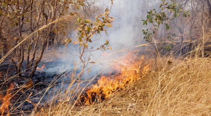 Barn och gräsbränder