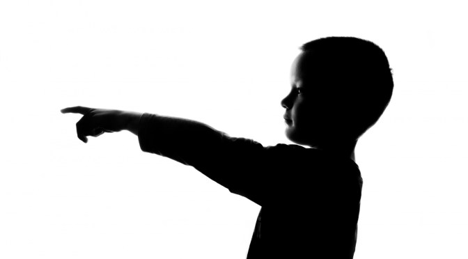 SD om judar och samer