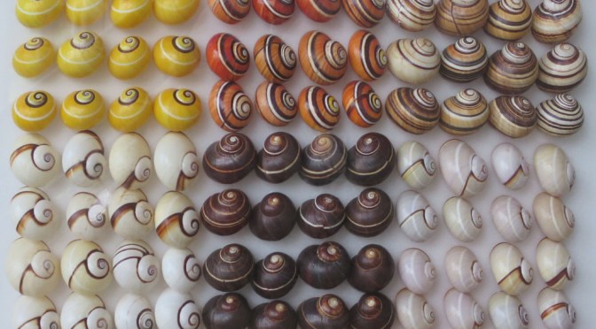 Myt: Den nedärvda essensen