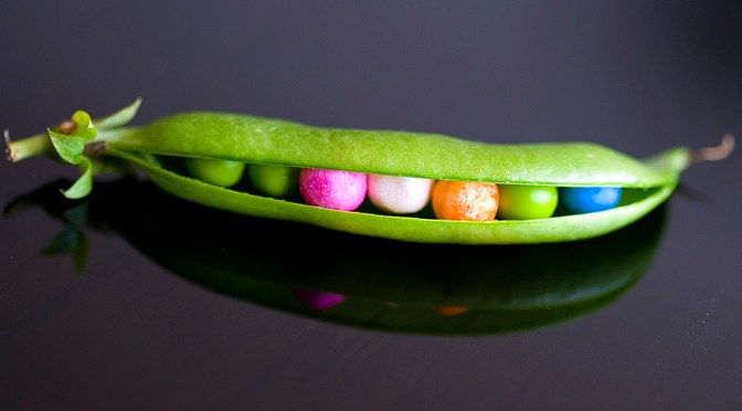 Myt: Den enda etniciteten