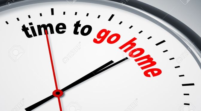 Alternativ för Sverige: ”Dags att åka hem…”