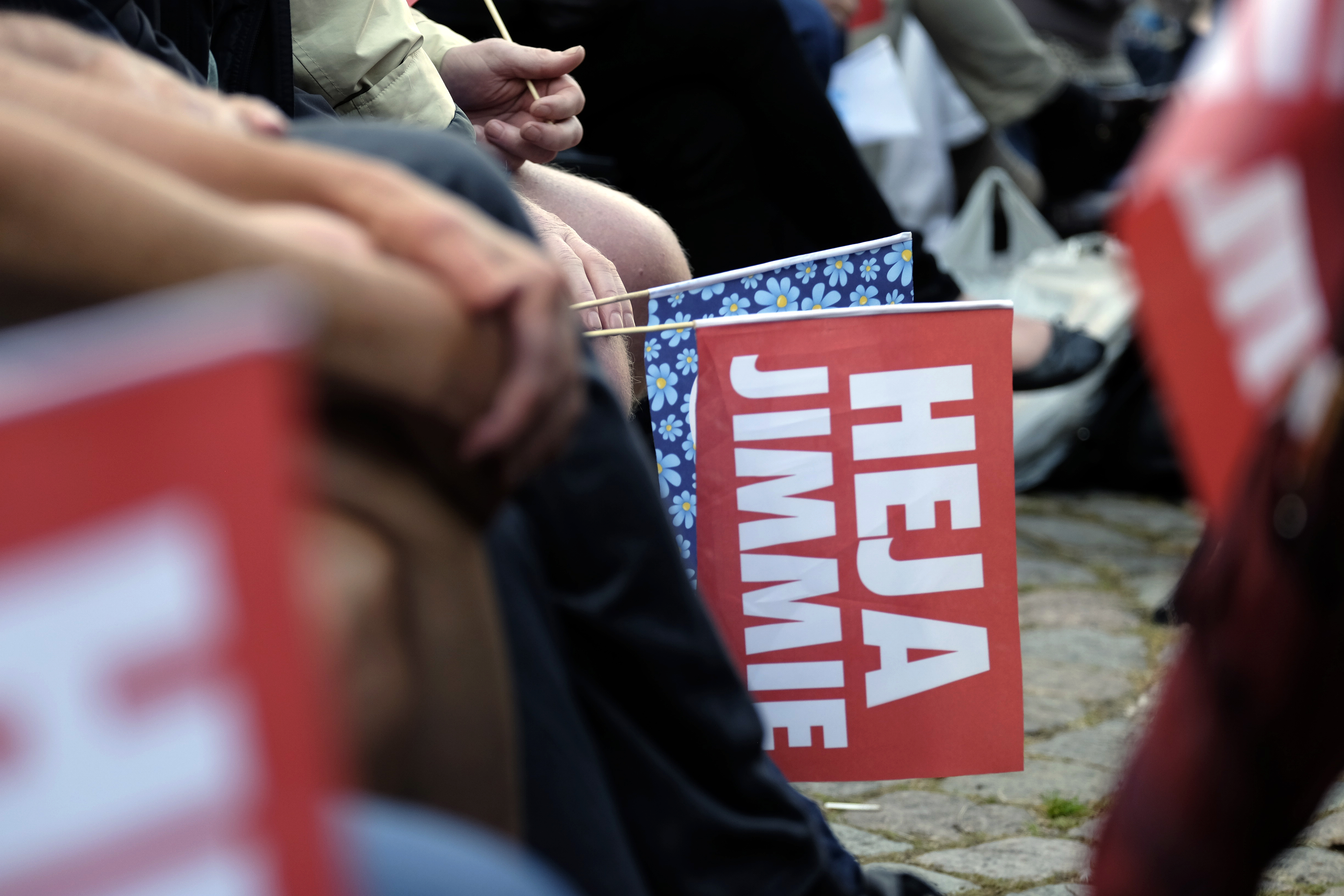 Almedalsveckan_Sverigedemokraterna_flaggor_20140701_0103_(14550393991)