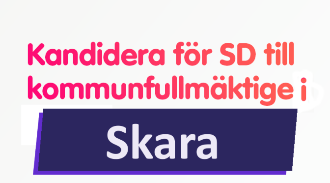 SD efterlyser kommunpolitiker på Facebook: ”Det är inte så svårt att vara politiker”