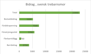 bidrag svensk