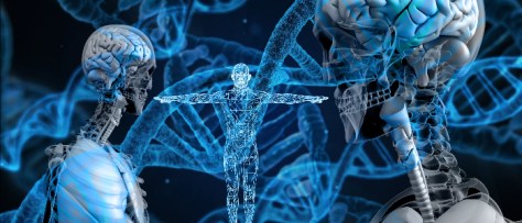 Nedärvd essens eller biologiskt arv - vad är egentligen skillnaden?