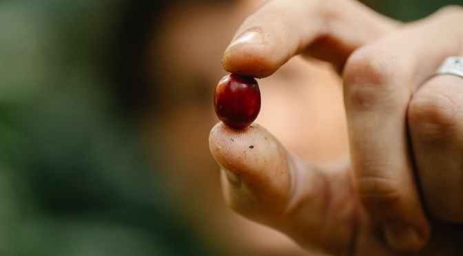 Myt: ”Utomeuropéer söker arbetstillstånd istället”